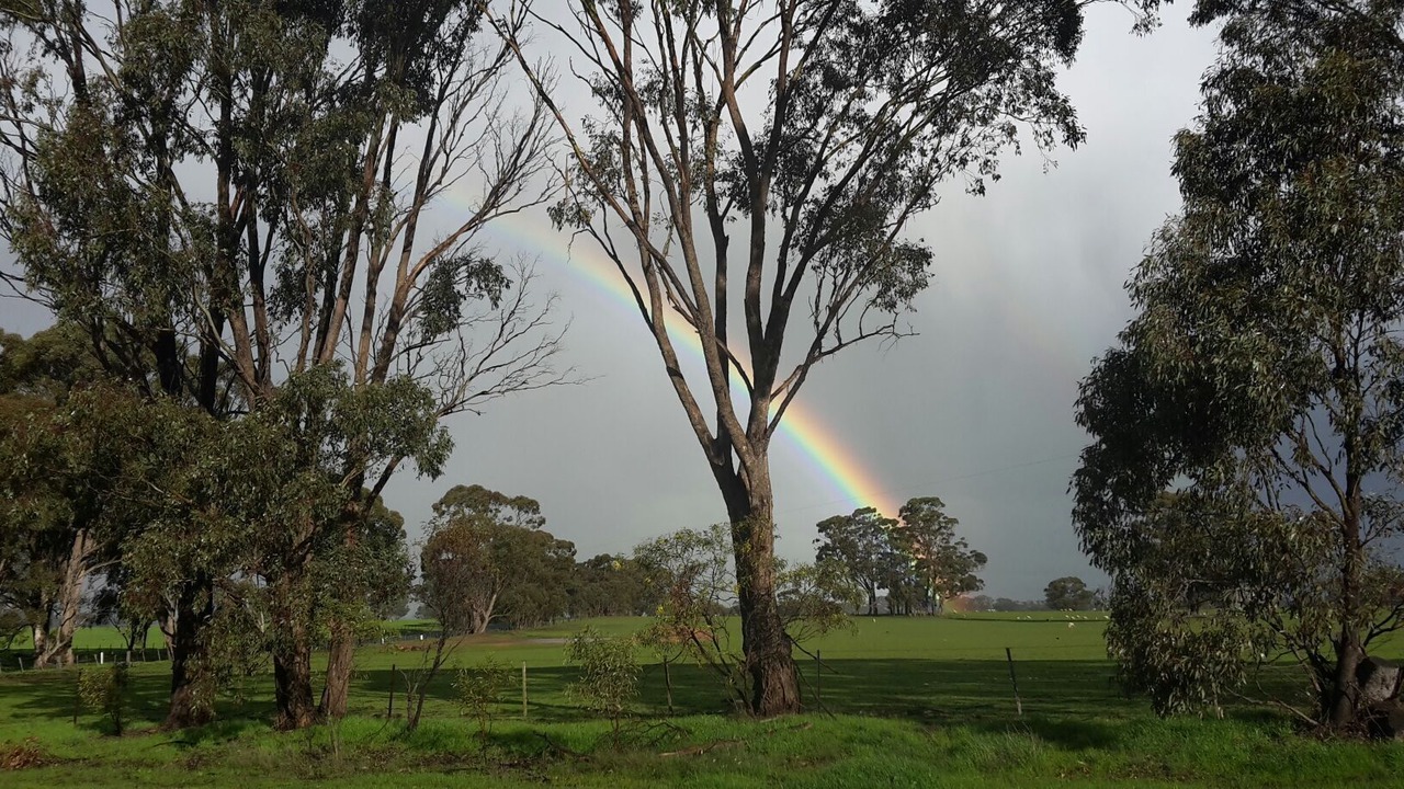 Photo of Others in Goornong