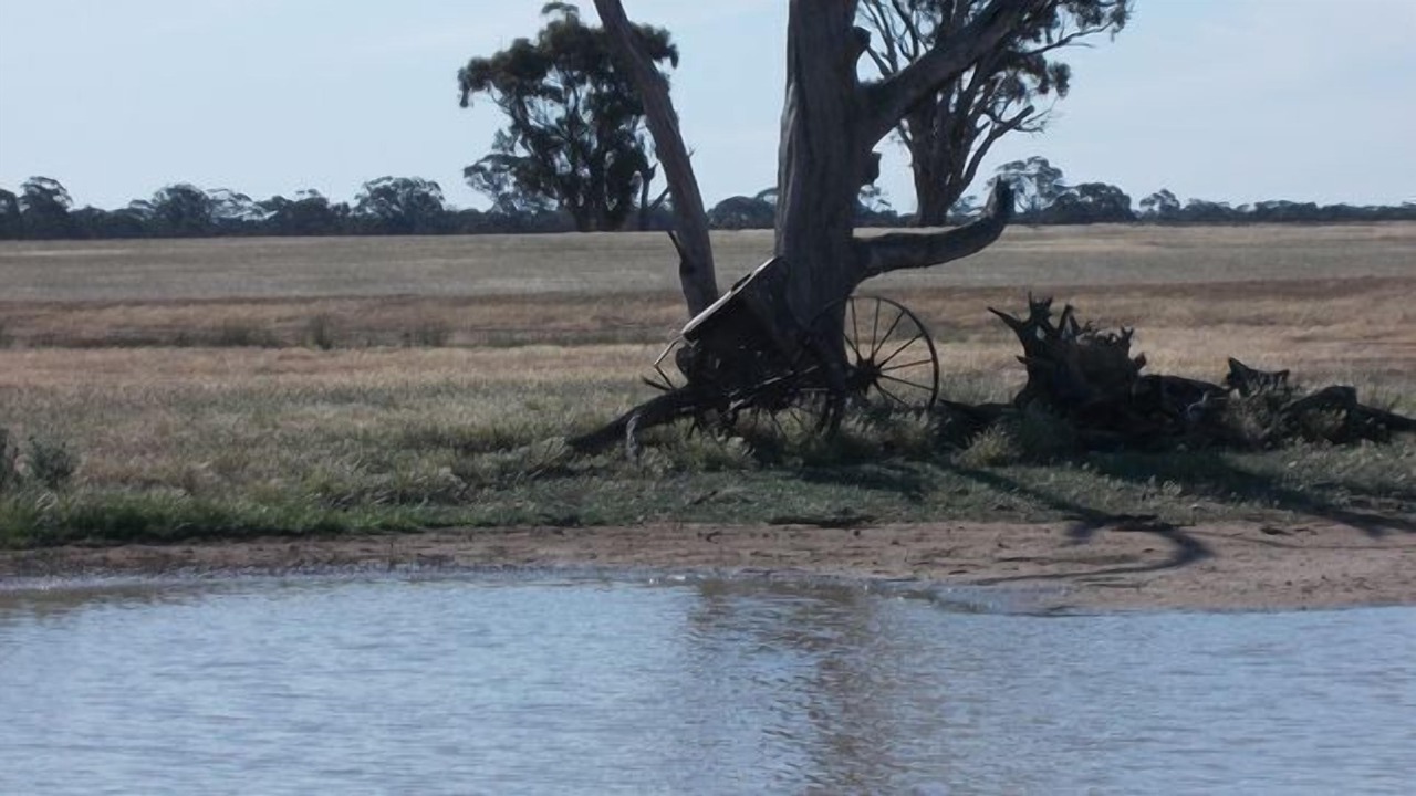 Photo of Others in Goornong