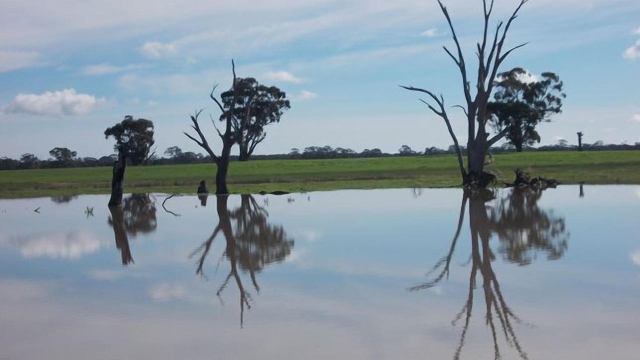 Photo of Others in Goornong