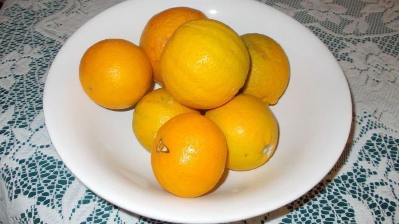 Photo of Others in Goornong