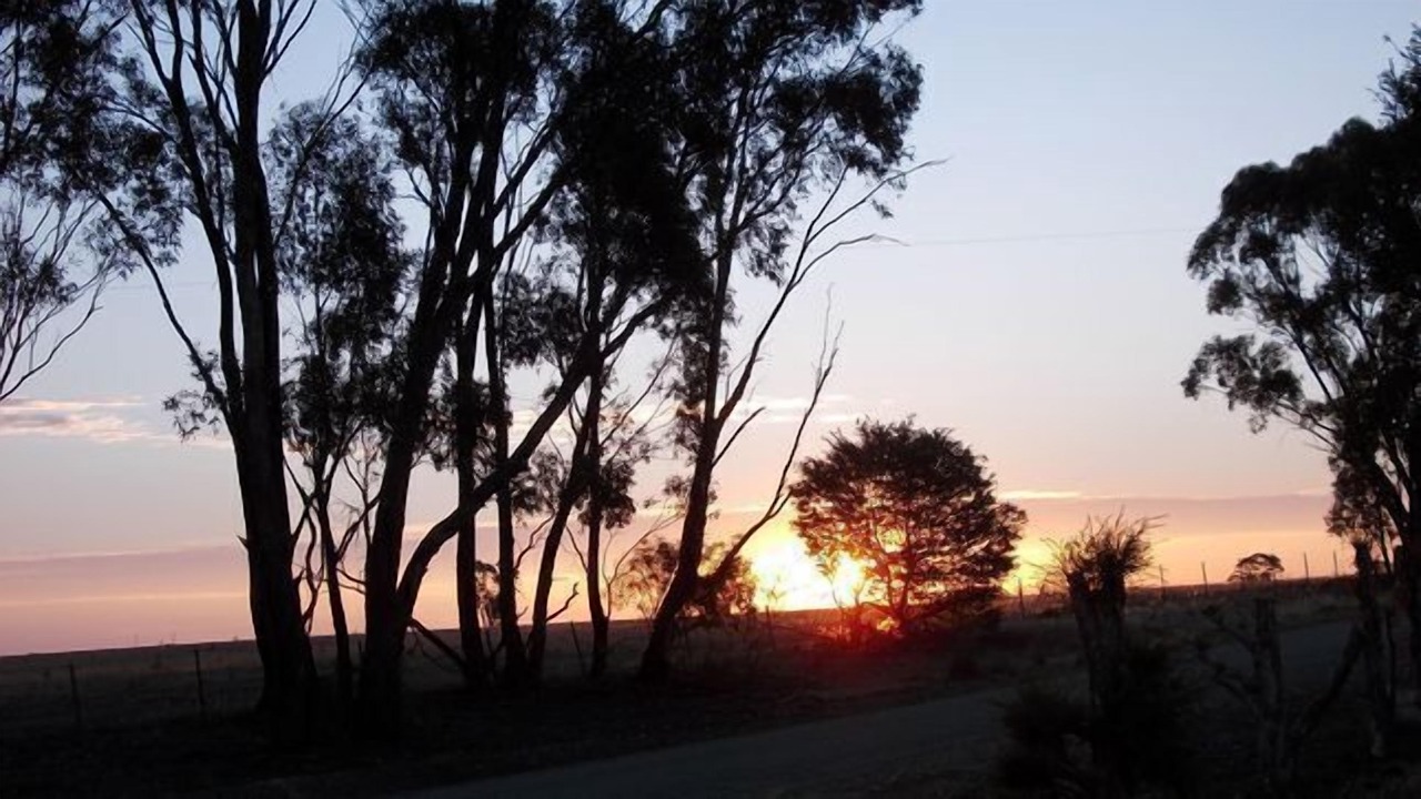 Photo of Others in Goornong