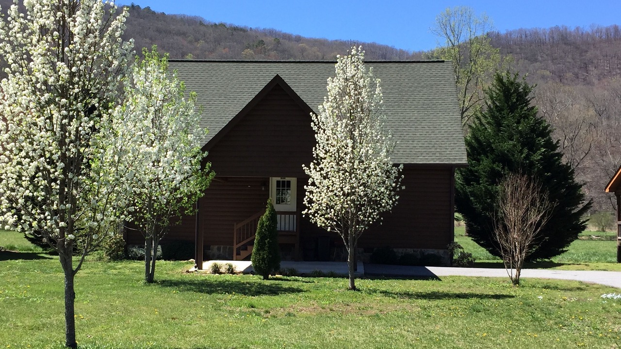 Photo of Others in Hiawassee
