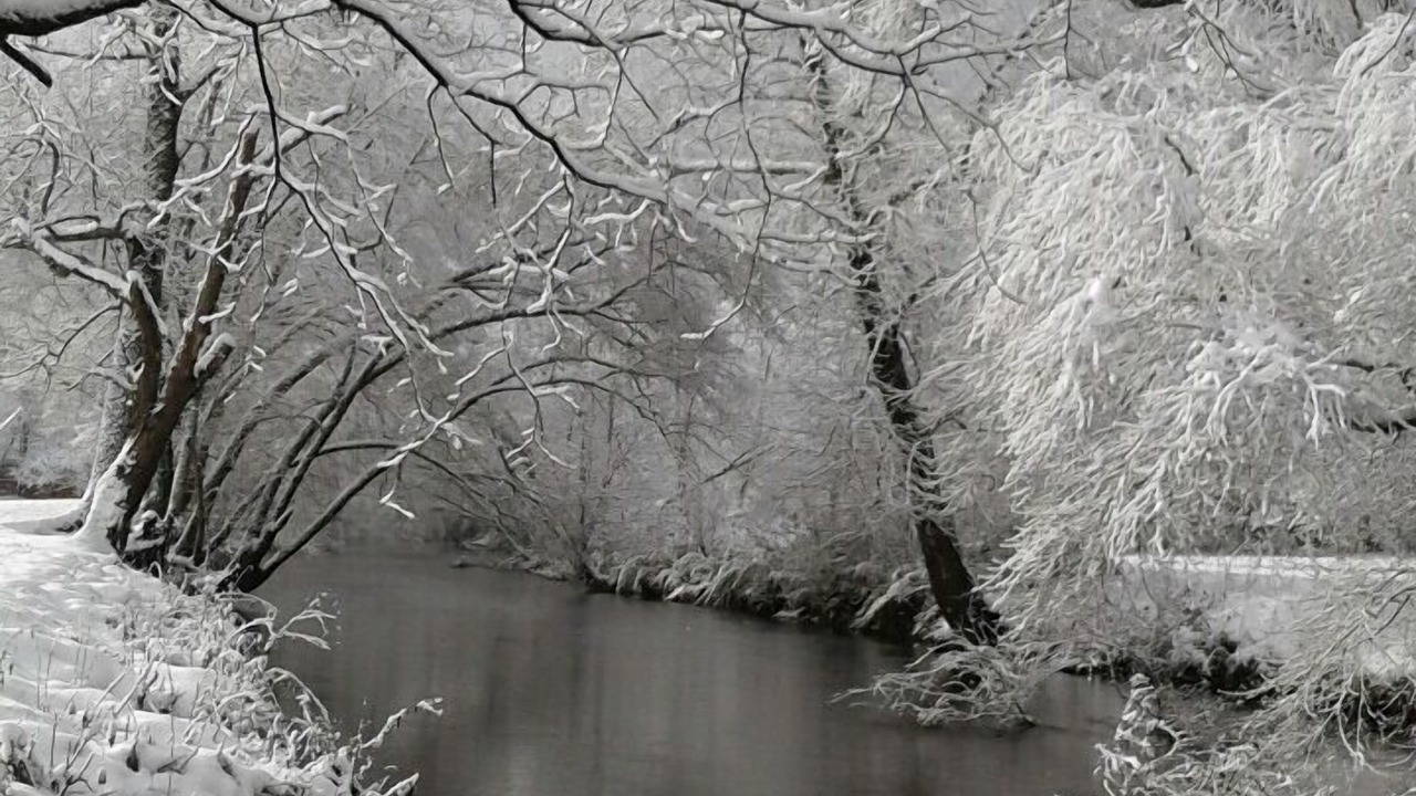 Photo of Others in Hiawassee