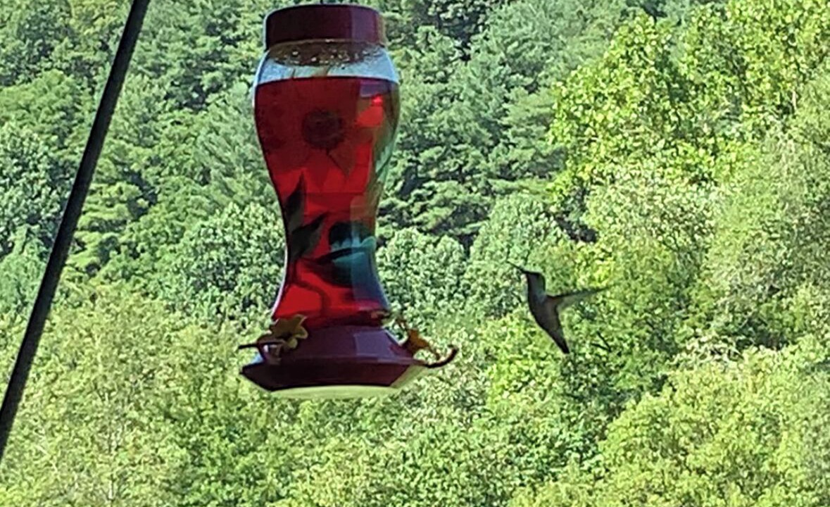 Photo of Outdoor in Hiawassee
