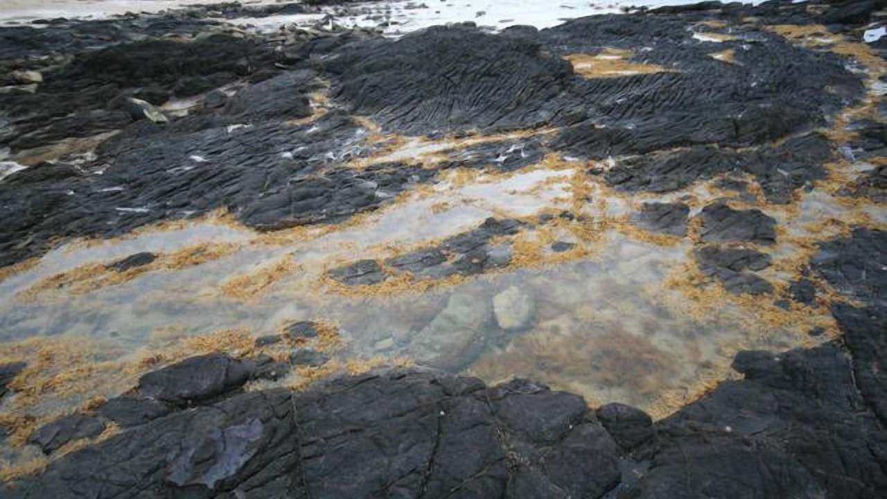 Photo of Outdoor in Cape Paterson