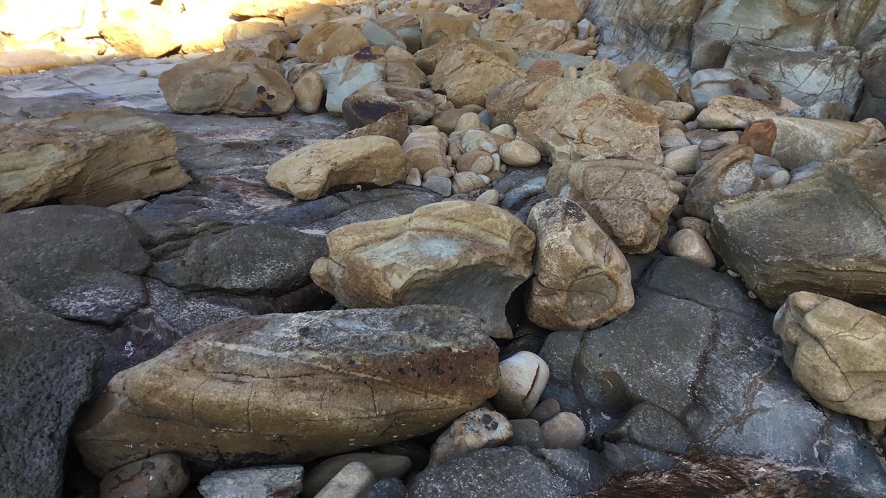 Photo of Outdoor in Cape Paterson