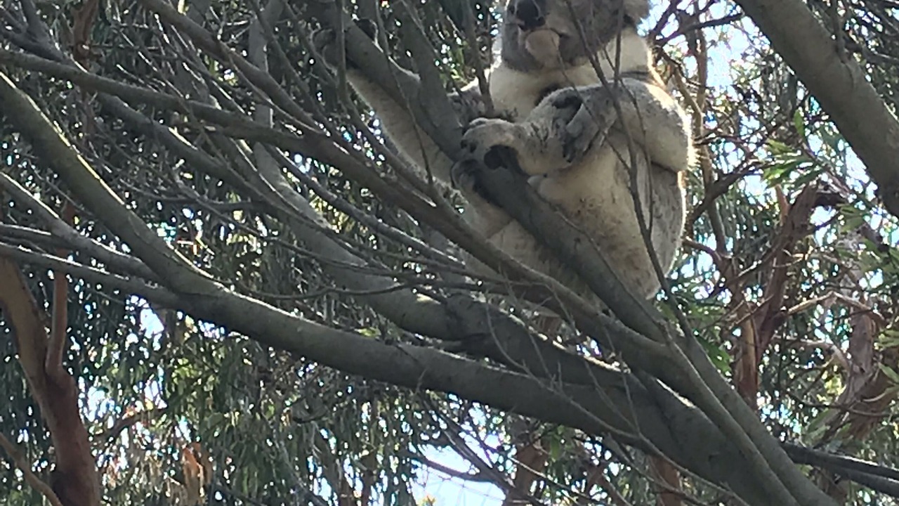 Photo of Others in Cape Paterson