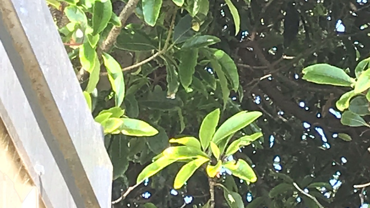 Photo of Others in Cape Paterson