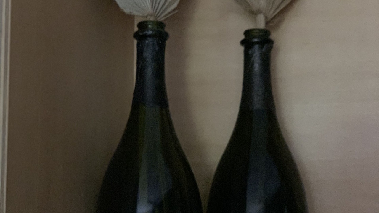 Photo of Others in Barwon Heads