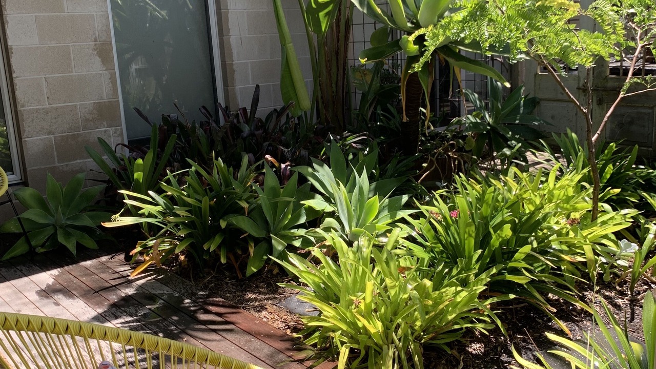 Photo of Patio Balcony in Barwon Heads