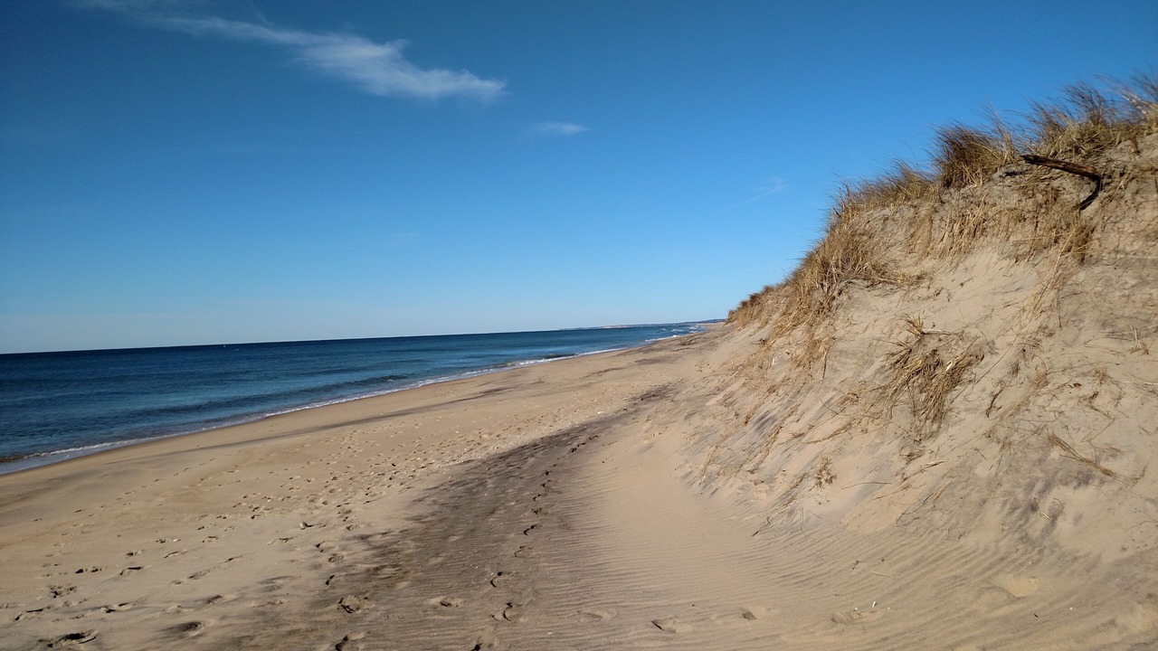 Photo of Others in Edgartown