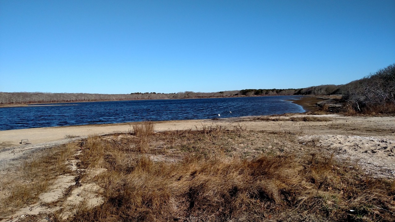 Photo of Others in Edgartown