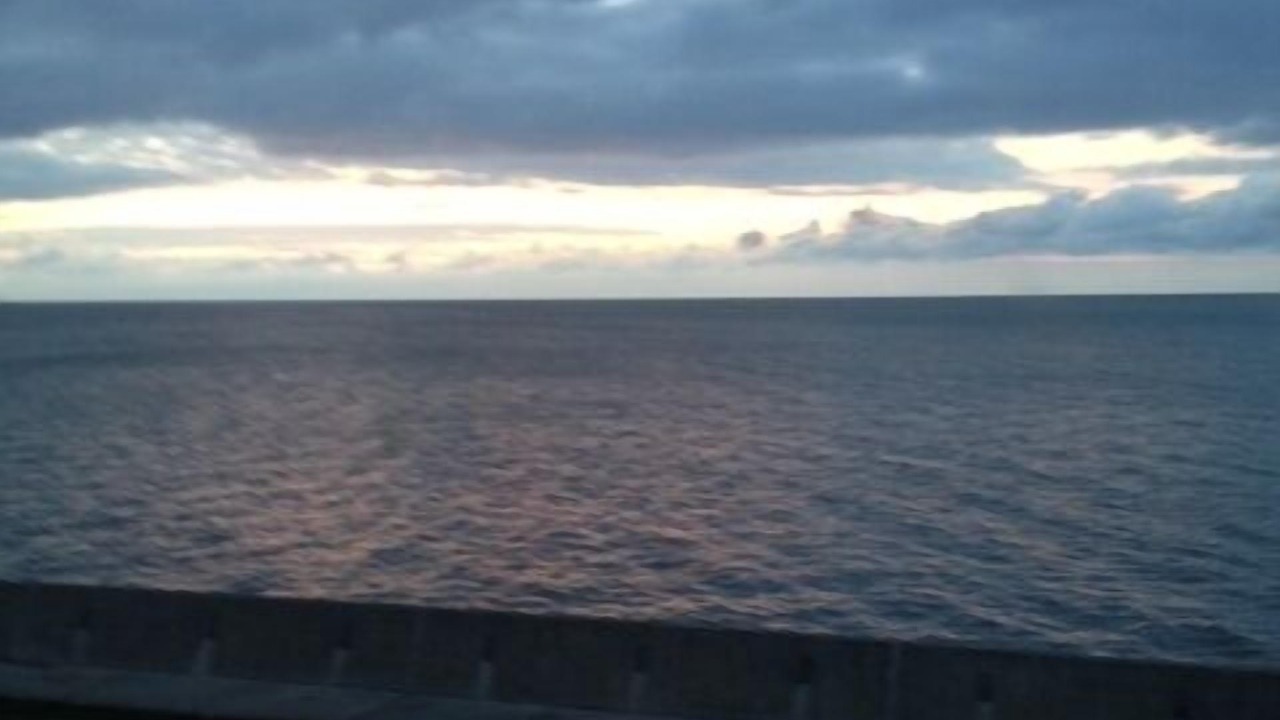 Photo of Others in Luna Pier