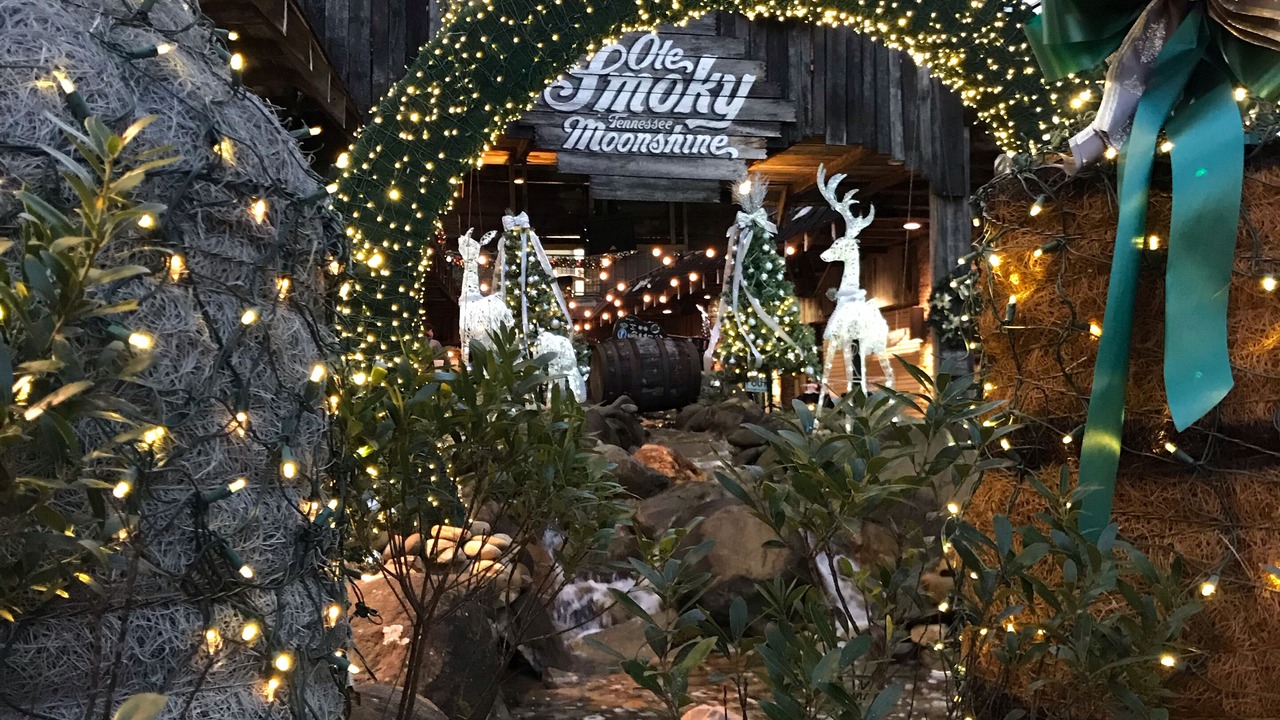 Photo of Others in Gatlinburg