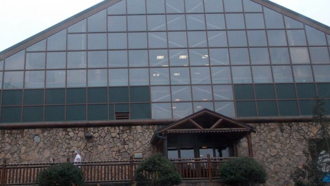 Photo of Others in Gatlinburg