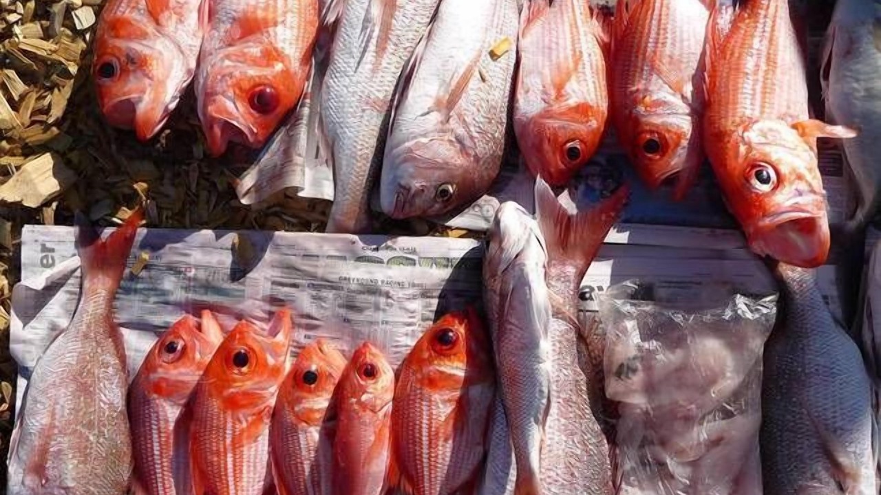 Photo of Others in Duncan