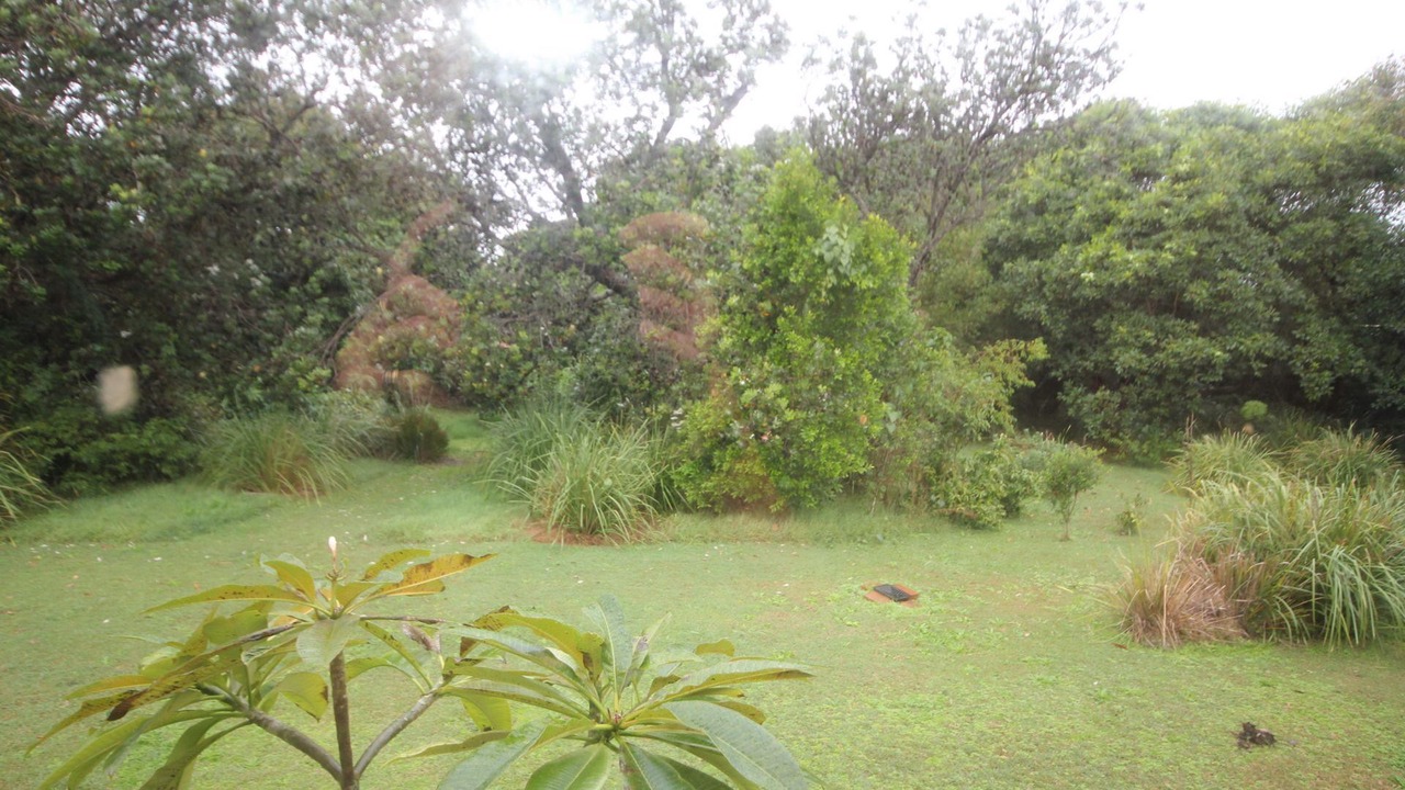 Photo of Outdoor in Lake Cathie