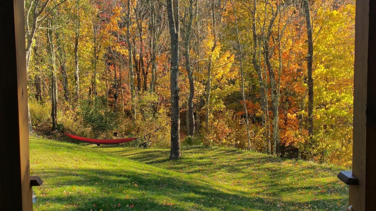 Photo of Others in Elka Park