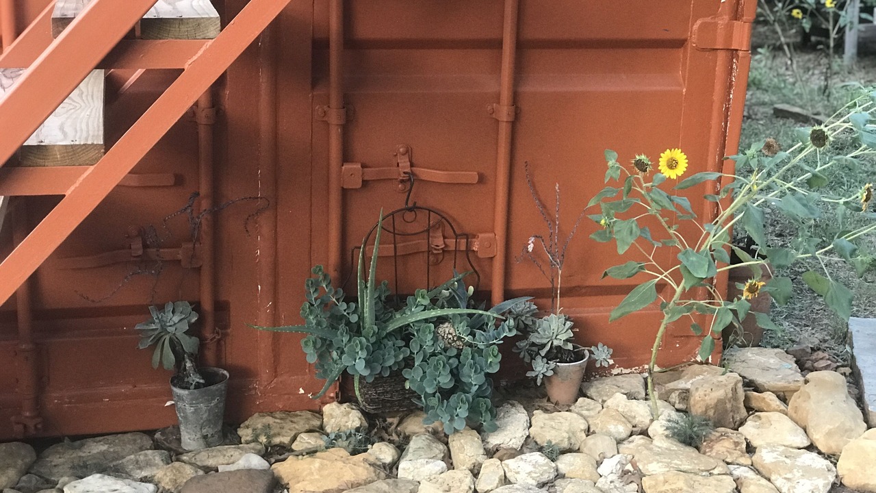 Photo of Outdoor in Pilot Point