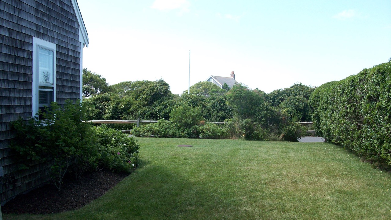 Photo of Others in Tom Nevers