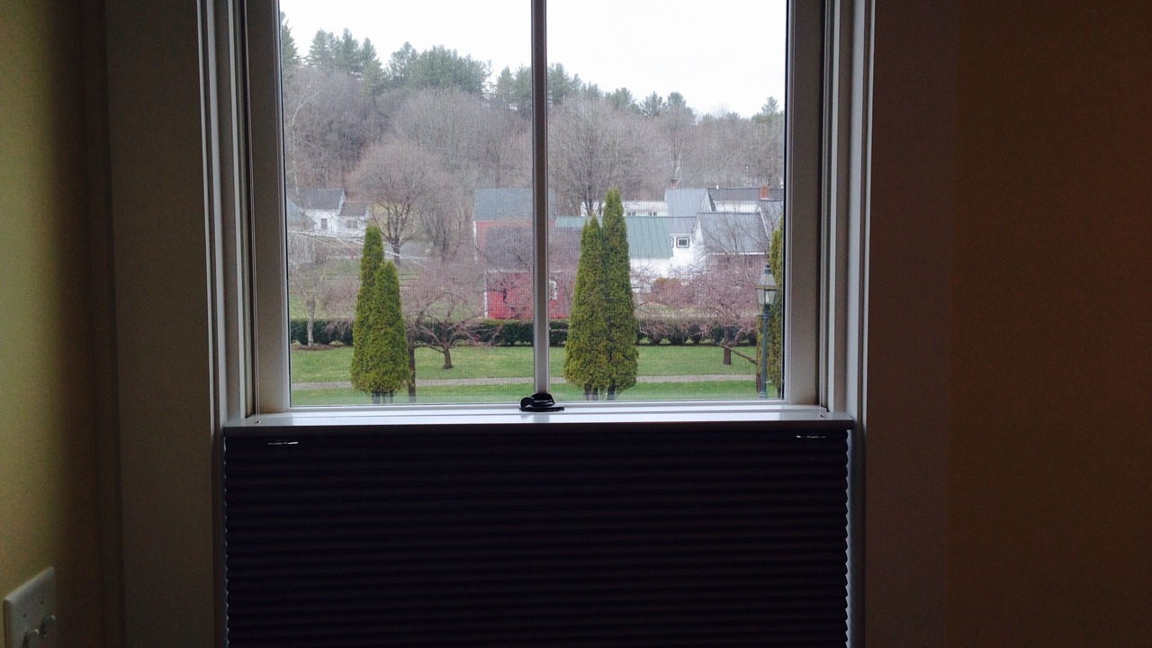 Photo of Outdoor in Grafton