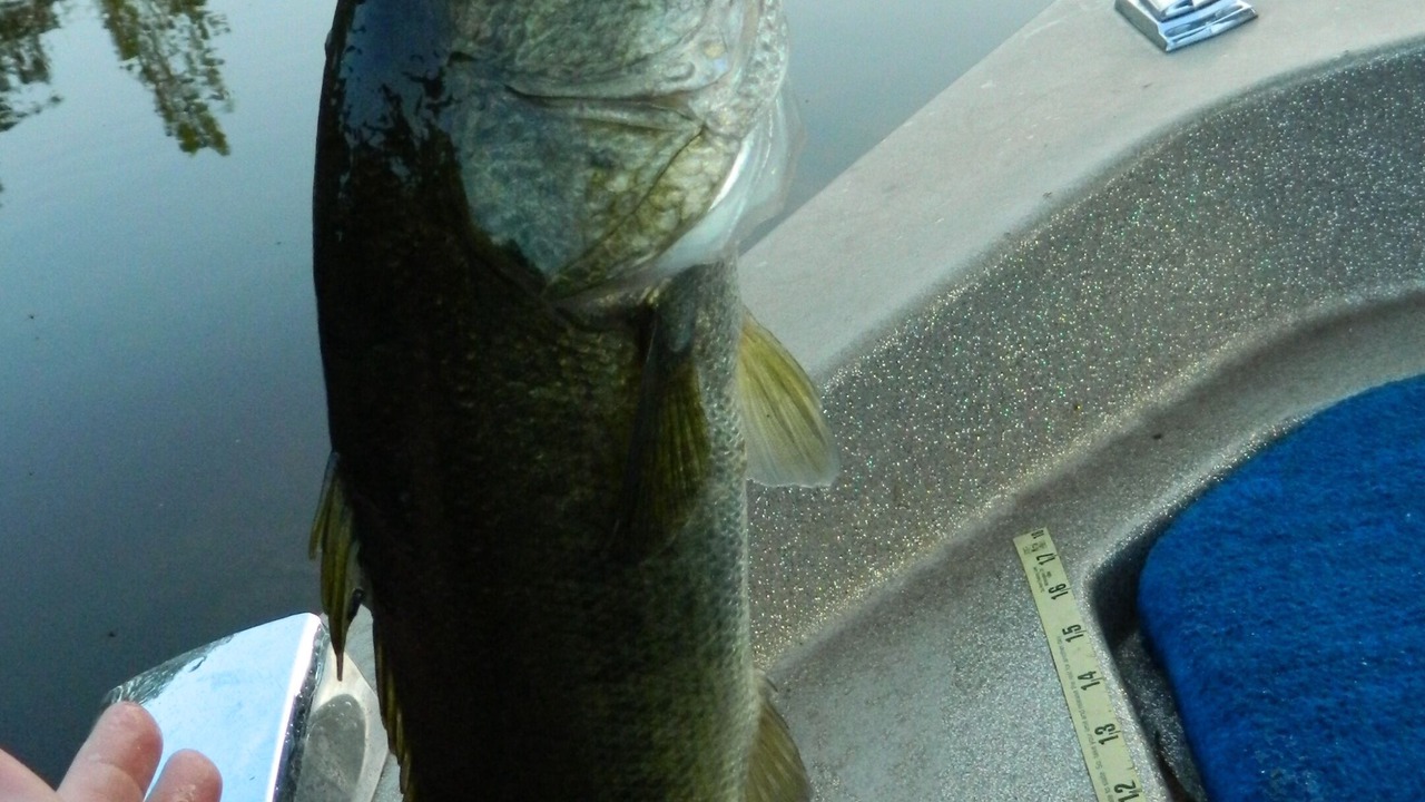 Photo of Others in Greensboro