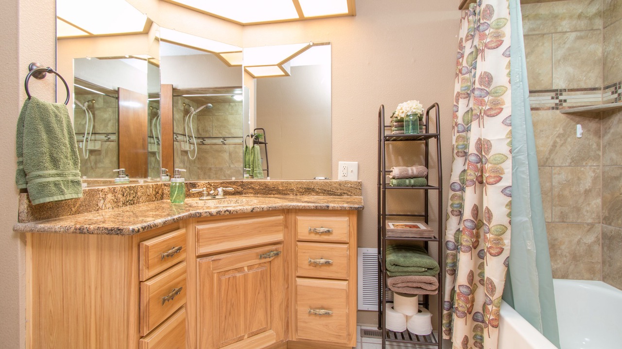 Photo of Bathroom in Roach