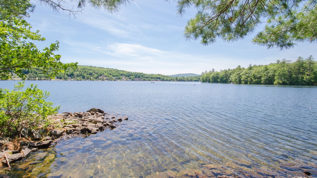 Photo of Others in Bristol