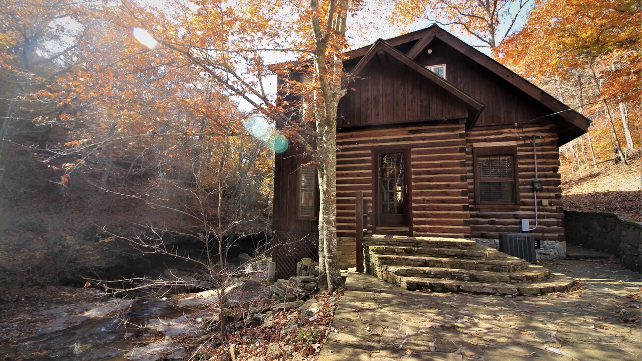 Photo of Outdoor in Deer