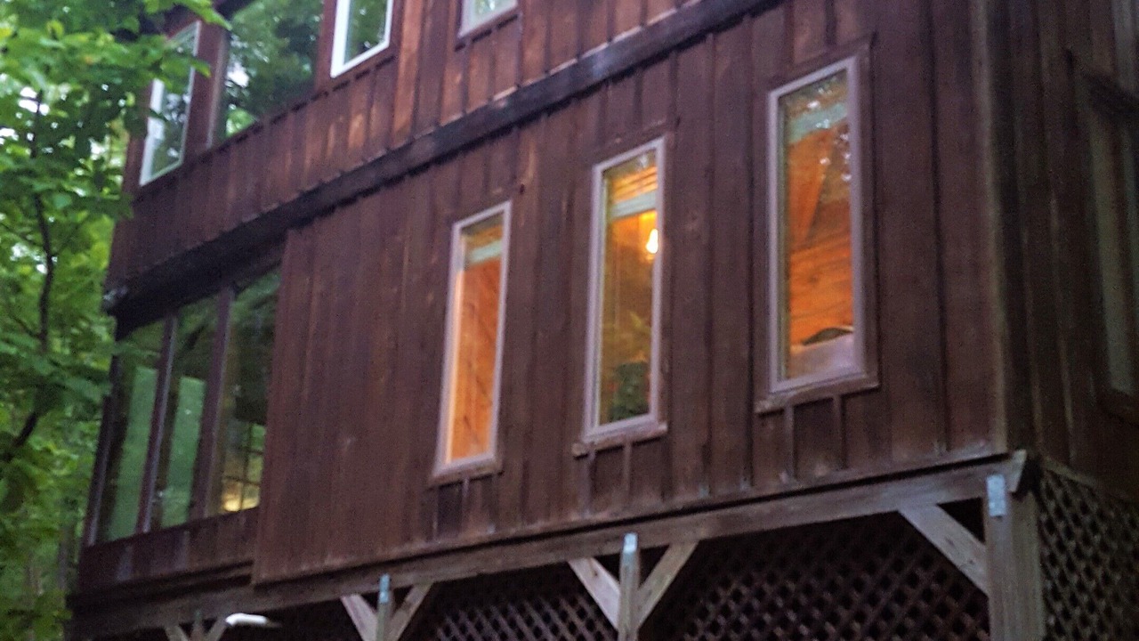 Photo of Outdoor in Deer