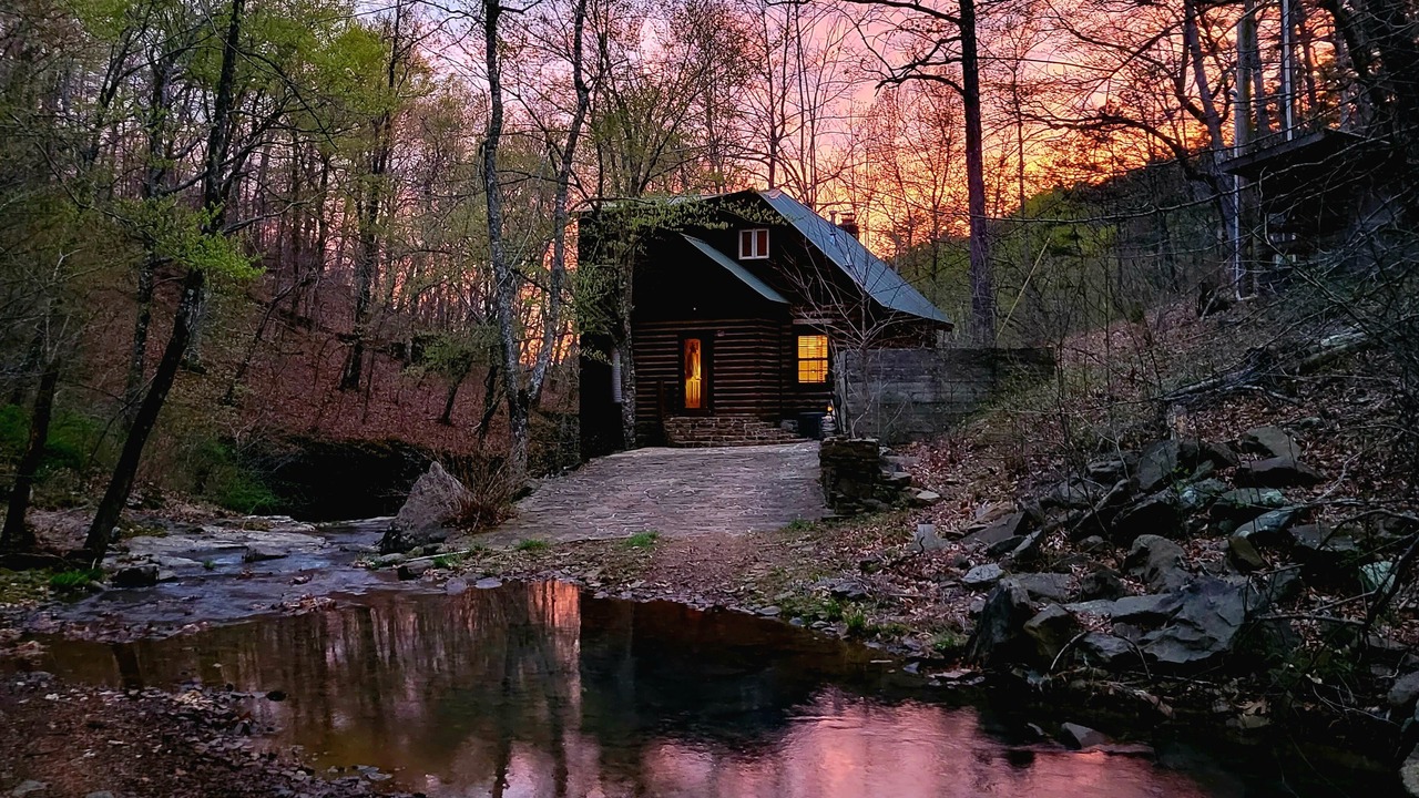 Photo of Outdoor in Deer