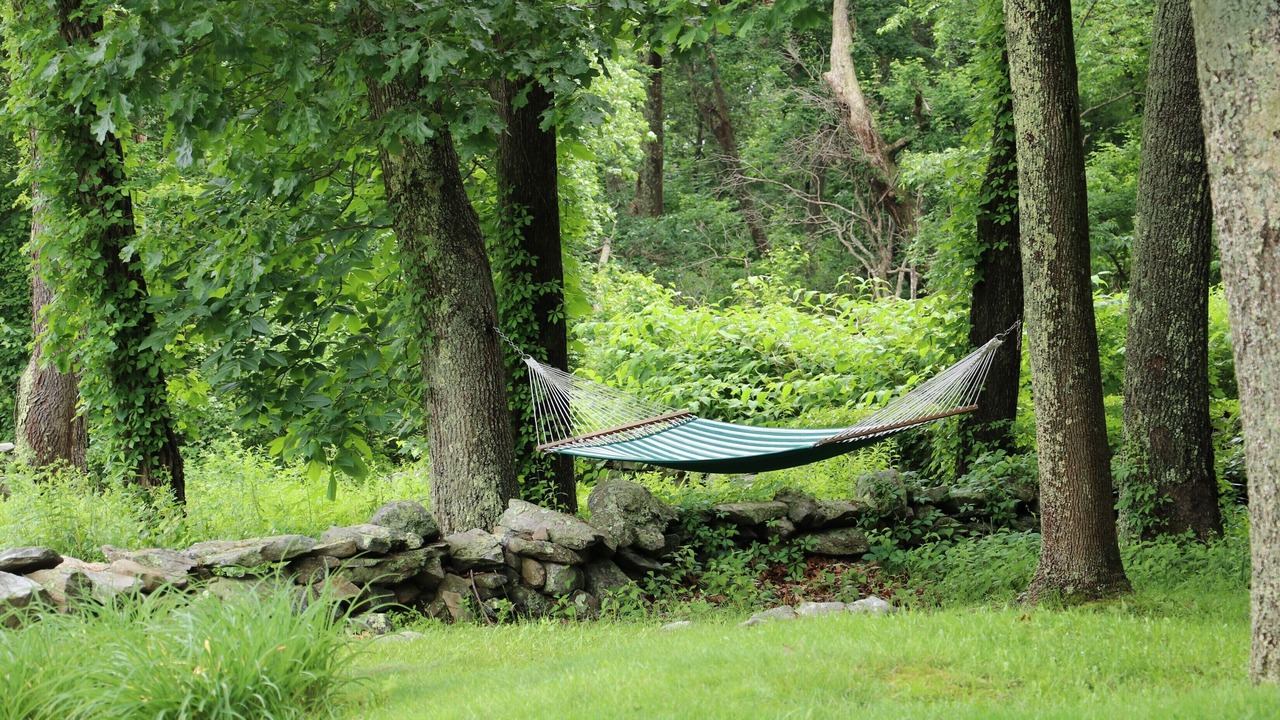 Photo of Outdoor in Saunderstown