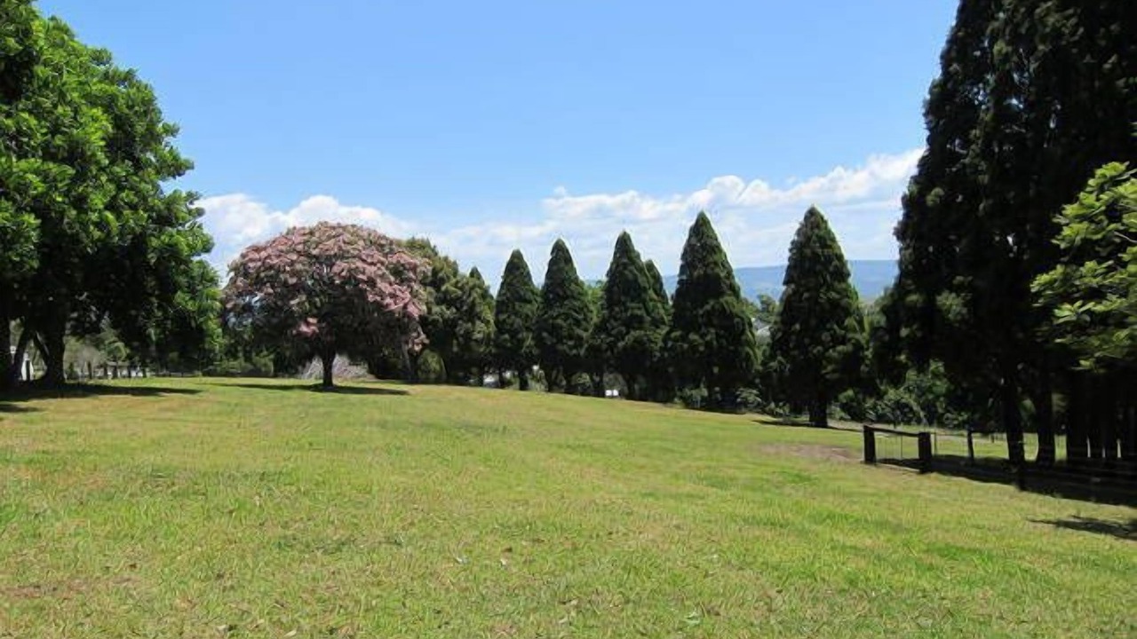 Photo of Others in Milton