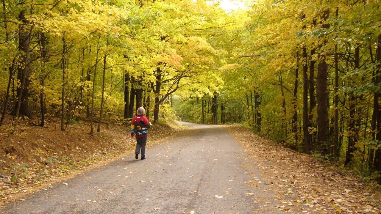 Photo of Others in North Ferrisburgh
