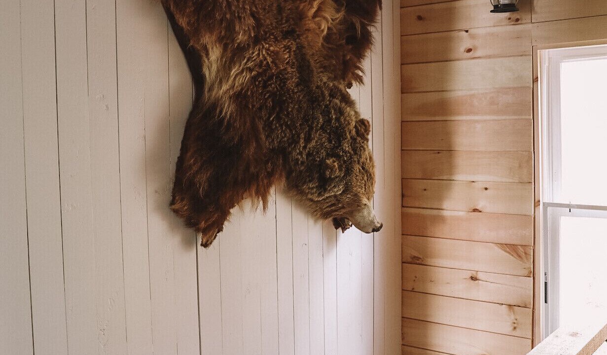 Photo of Others in North Ferrisburgh