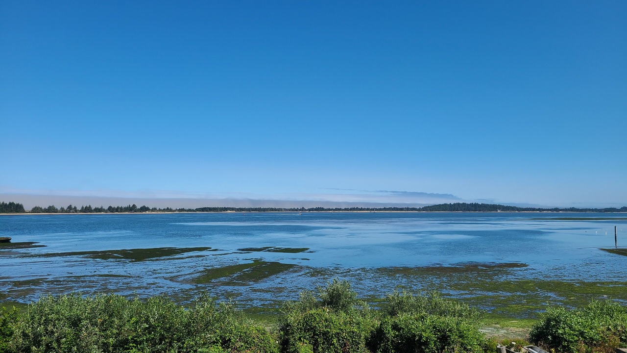 Photo of Others in Charleston