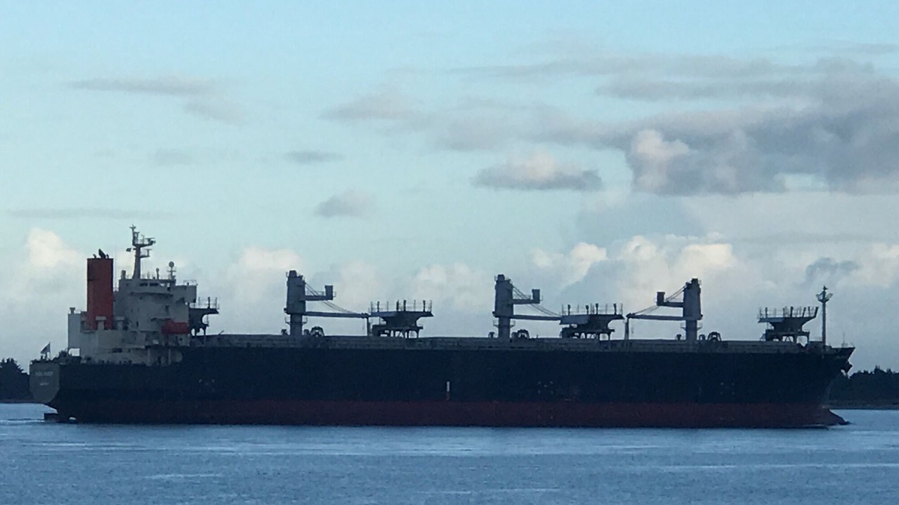 Photo of Outdoor in Charleston