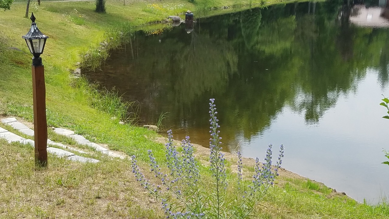 Photo of Outdoor in North Creek