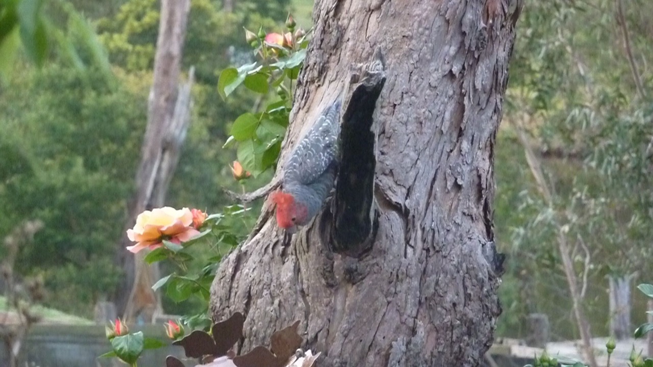 Photo of Outdoor in Bellbrae