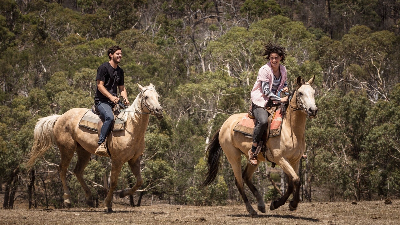 Photo of Others in Bellbrae