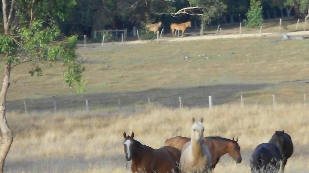 Photo of Others in Bellbrae