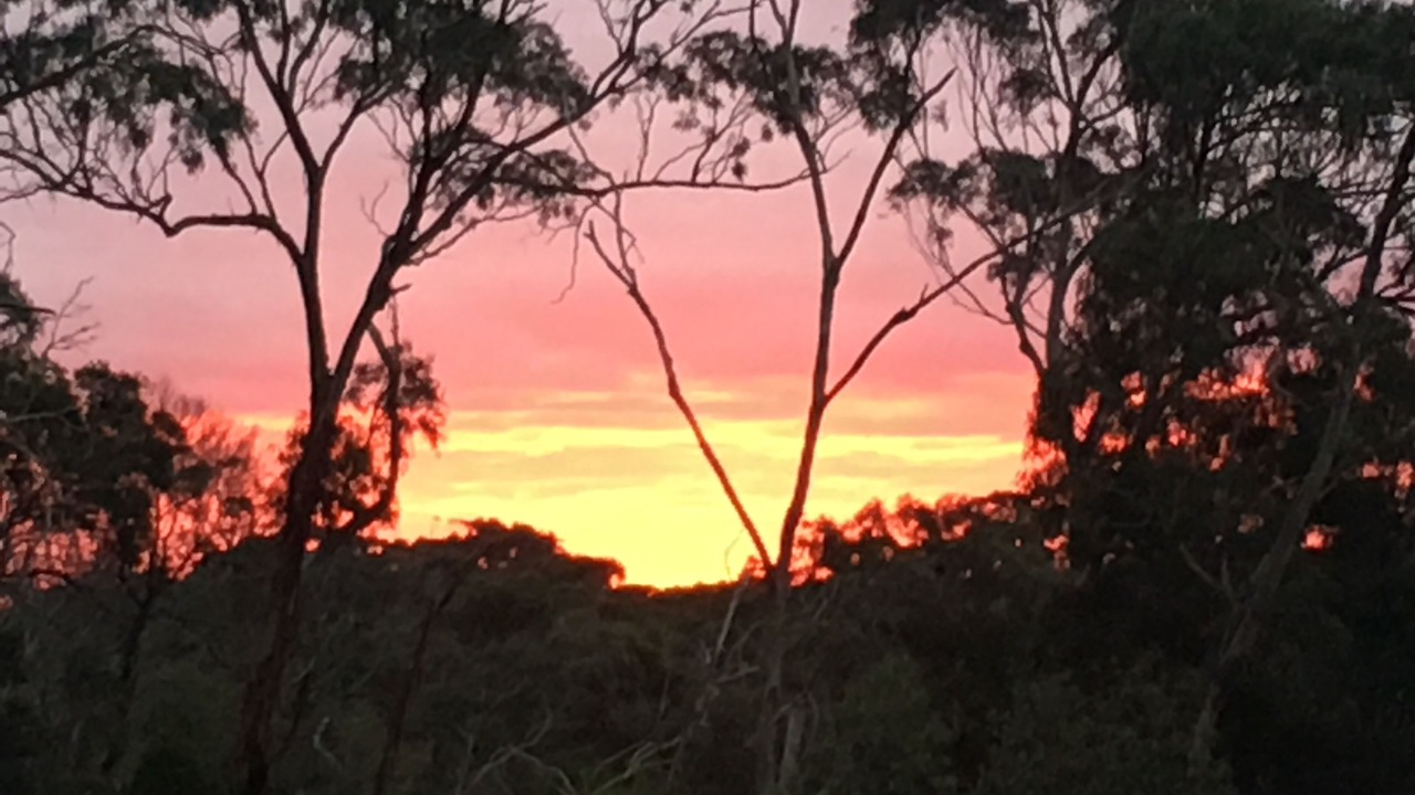 Photo of Others in Bellbrae