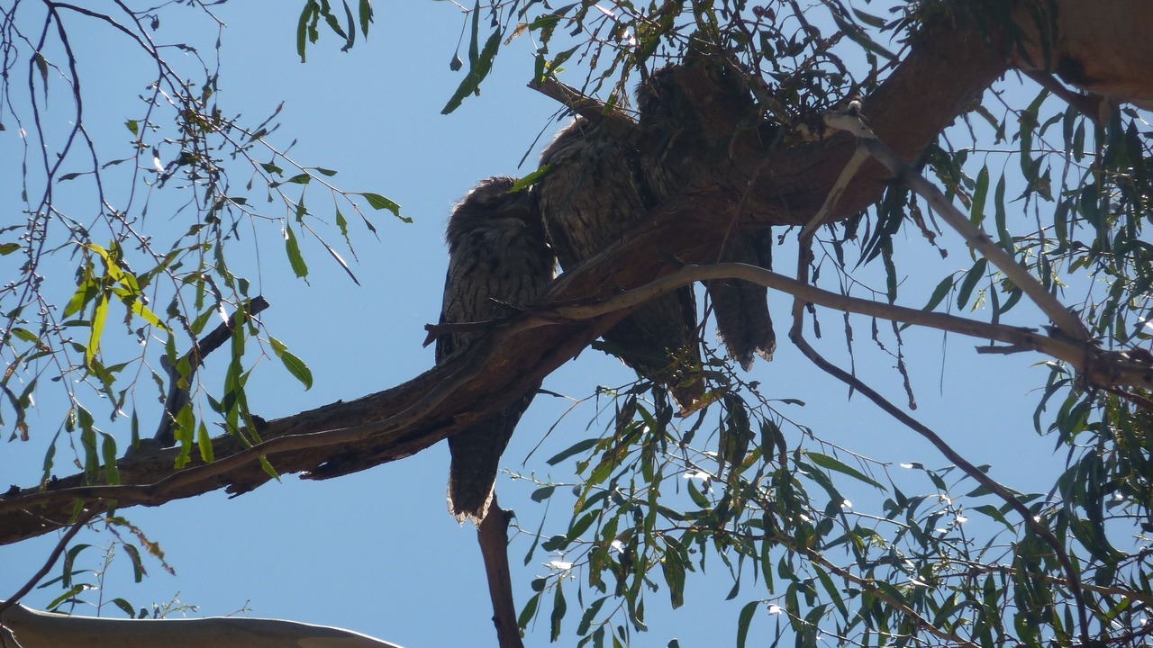 Photo of Outdoor in Bellbrae