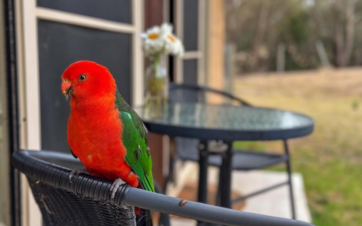 Photo of Outdoor in Bellbrae