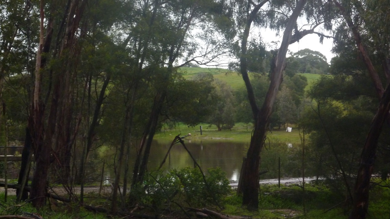 Photo of Outdoor in Bellbrae