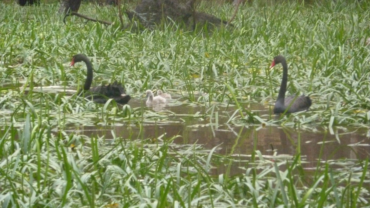 Photo of Outdoor in Bellbrae