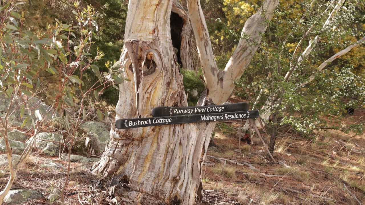 Photo of Outdoor in Jindabyne