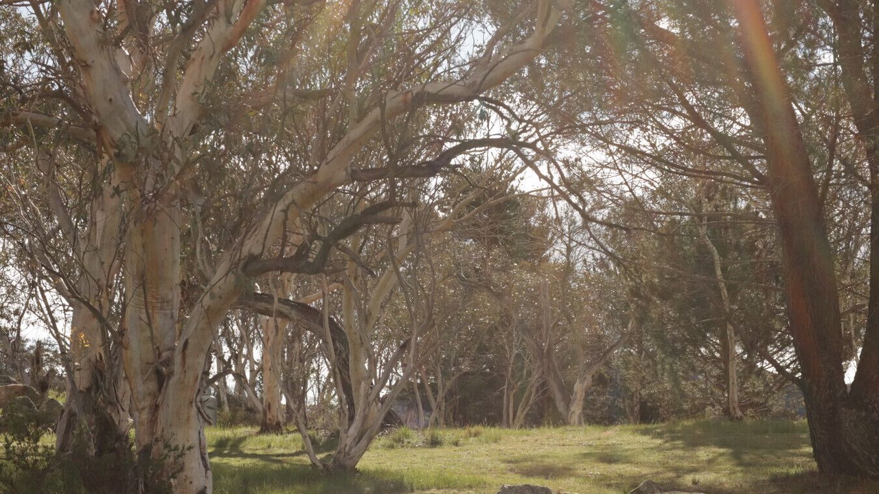 Photo of Others in Jindabyne