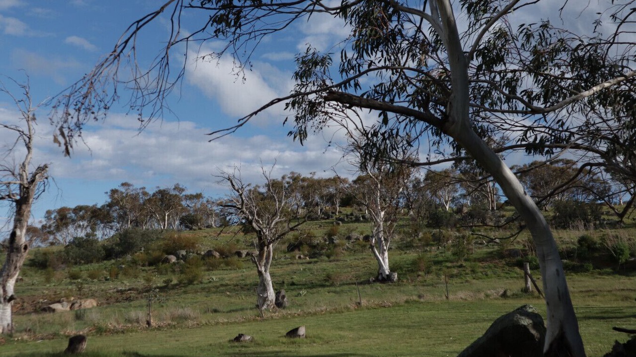 Photo of Others in Jindabyne