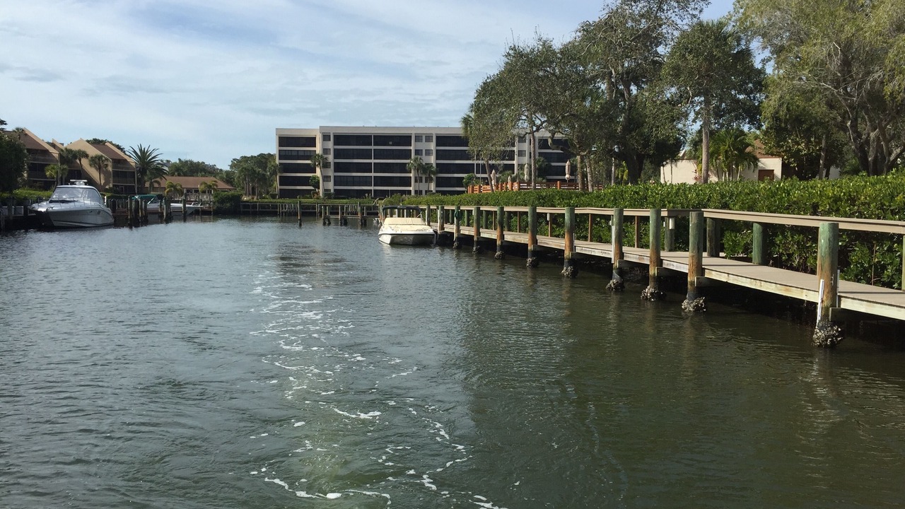 Photo of Others in Siesta Key